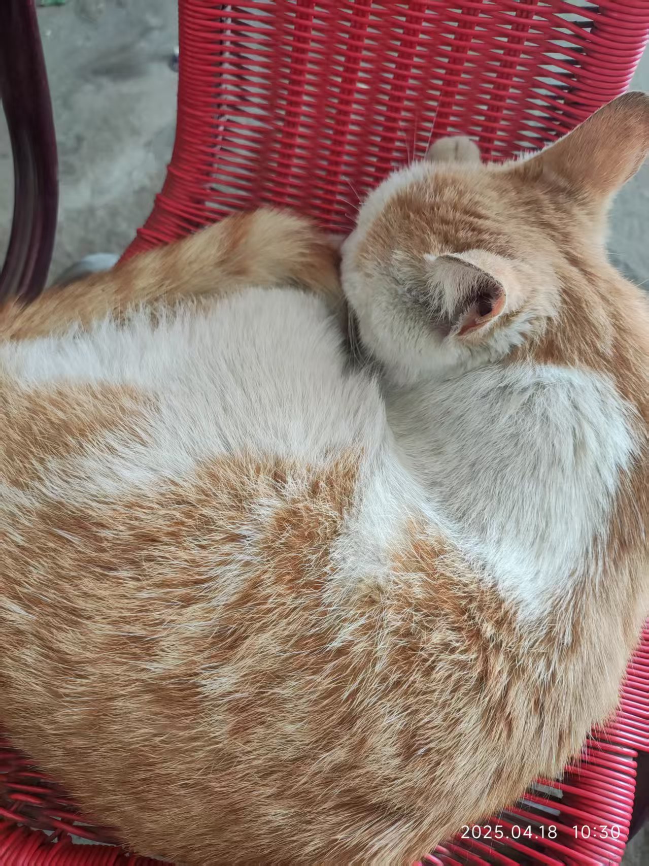 m9phmhdp.png m9phmhdp.png