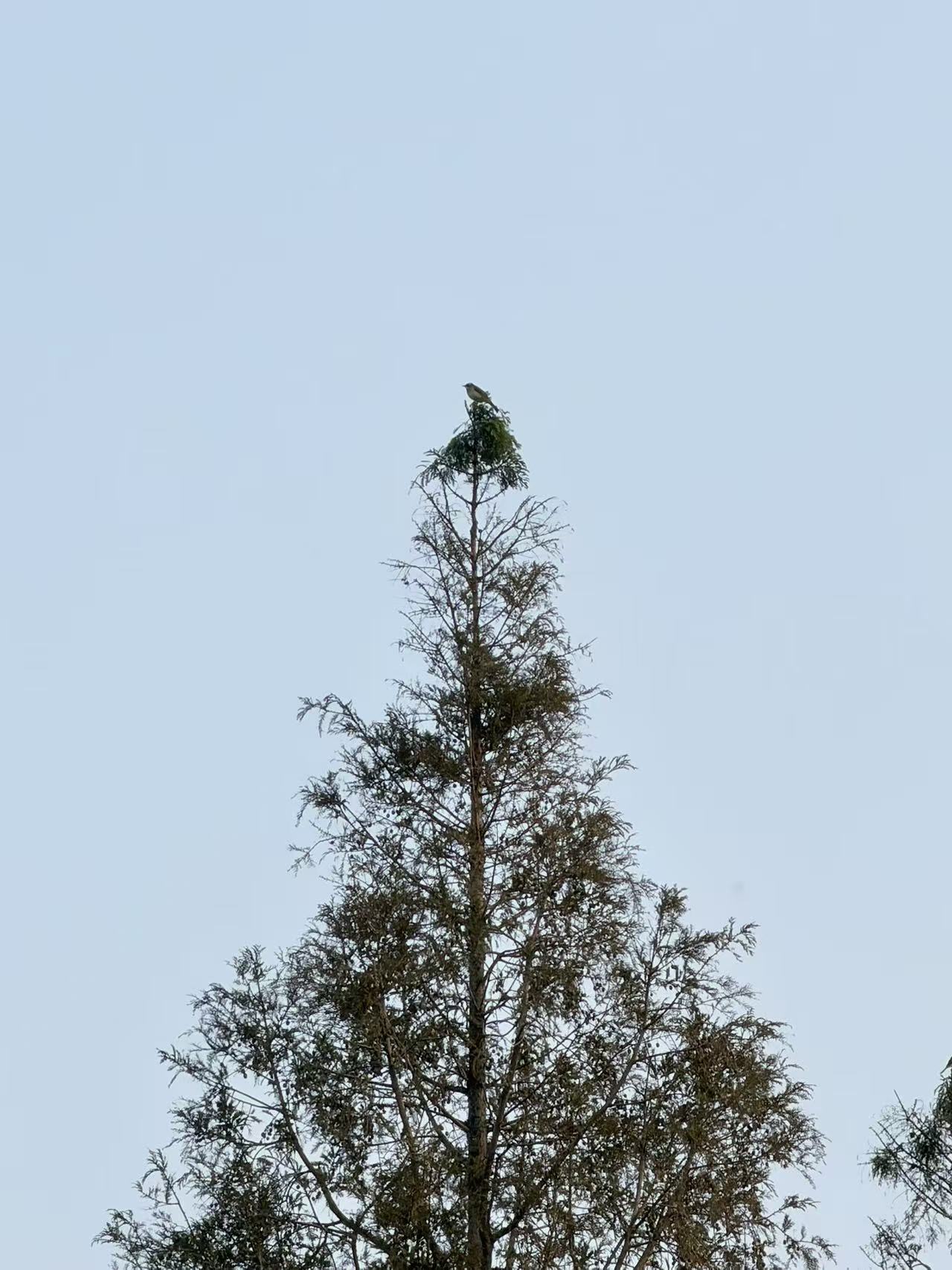 马鞍山 | 从空谈到实干